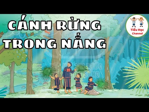 Video Tập đọc: CÁNH RỪNG TRONG NẮNG | Tuần 2 | Tiếng Việt... - youtube