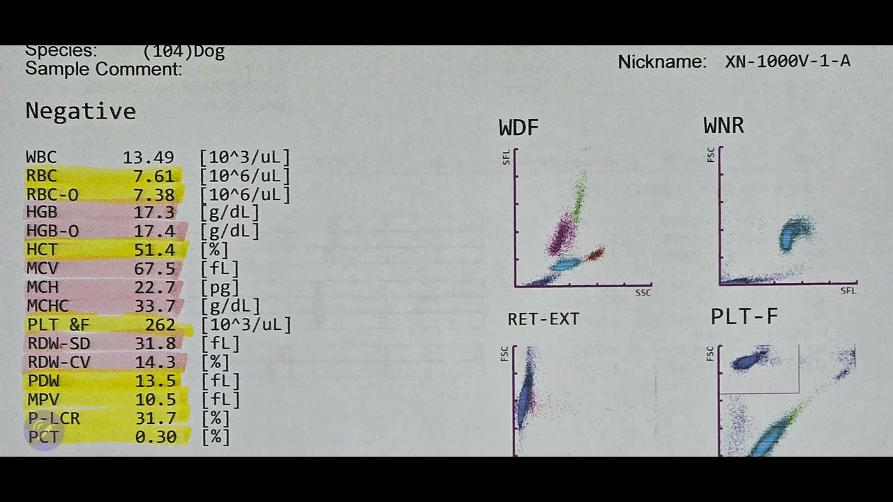 Update How to Interpret RBC,PLT,Reti ; Sysmex XN1000 vet - YouTube