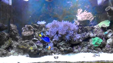 New reactor up and running