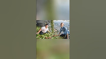 Hùng Trọc và Tí béo thả rắn lục xuống trường học để troll Capybara #capybara #shorts