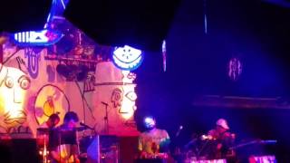 Animal Collective- The Bees, Starland Ballroom, NJ, 5/14/16