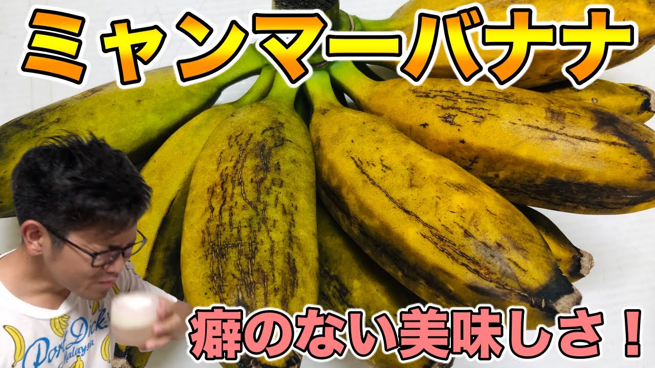 Rare varieties] Myanmar banana food report! Easy to eat and