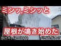 屋根の雪が積もって、ミシッミシッと屋根が鳴き始めたのでいざ撮影