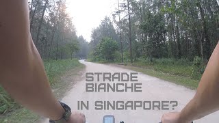 20190913 Strade Bianche... in Singapore (Brompton)
