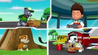 Paw Patrol Se2 - Ep15 Pups Jungle Trouble - Screen 07