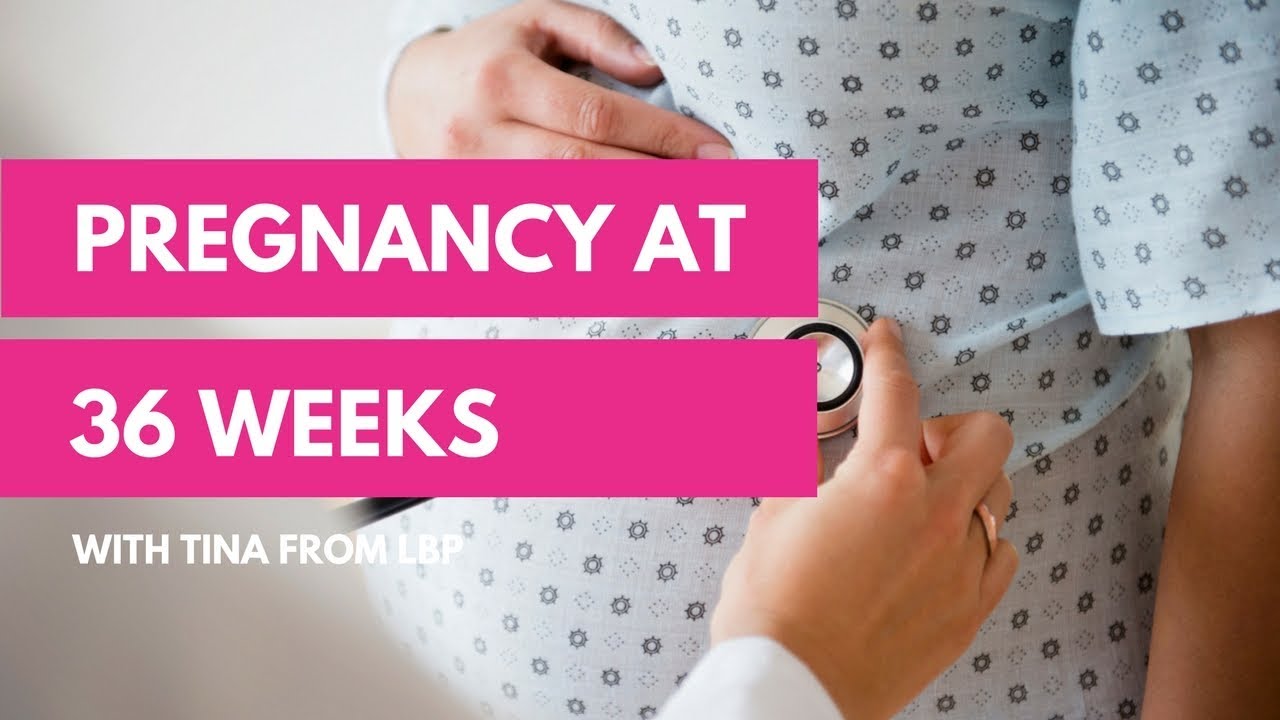 36 Week Pregnancy Update YouTube