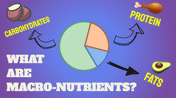 What Are Macronutrients | What Are Macros | Macros Explained | Micronutrients Explained