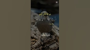 القران الكريم ما تيسر من سورة الفرقان #آيات #القرآن_الكريم