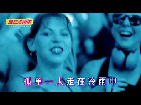 歌曲:   魏佳藝 -------  走在冷雨中   (DJ  MV  版)
