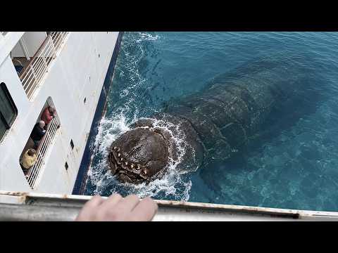 They ACCIDENTALLY Filmed THIS in the Water! It's IMPOSSIBLE to Explain | Top 50