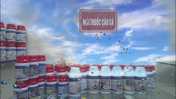 Mồi Thuốc Câu Cá Chuyên dụng MTCC #moithuoccaucamtcc