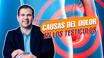 ¿Qué nervio causa dolor testicular?