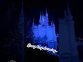Took a walk by Cinderella Castle last night and it inspired me. Be sure to follow your dreams! 🏰🎆