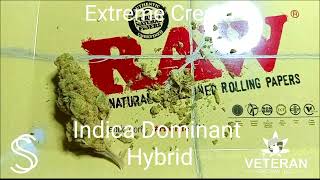 "Extreme Cream" | Veteran Grown Hemp | SmallzSmokez THCA Review