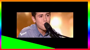 The voice 7 : Raffi Arto "surdoué", Sherley Paredes et Lilya bouleversantes !