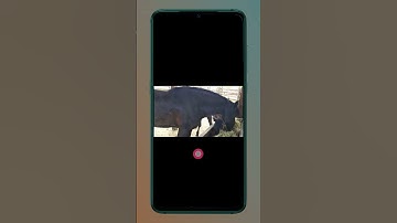 How to stabilize videos on android without third party apps?