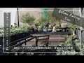 【秋のベランダツアー】夏型の見納め・目覚め始めた冬型【アガベ・コーデックス・オリーブ】