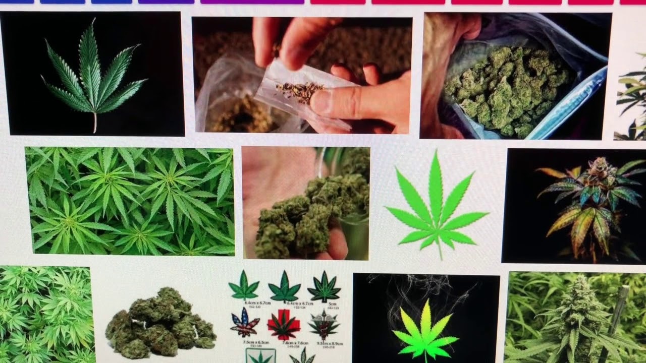 happy-funny-weed-number-youtube