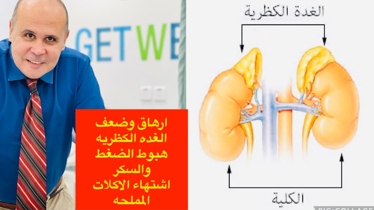 ارهاق وتعب طول اليوم ايه الاسباب 👈👈اهم العلامات التي تعرف بهاخلل في هرمونات 👈الغده الكظريه