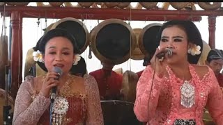 Gending Jawa Paling Merdu 2025 Cocok Buat Teman Kerja Juga Teman Ngopi