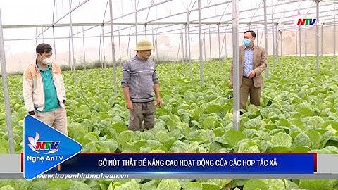 Gỡ nút thắt để nâng cao hoạt động của các Hợp tác xã