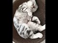 Charming sleeping posture