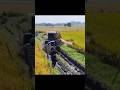 Massey TRACTOR in mud 😂#viral #youtubeshorts #shortvideo #trandingshorts