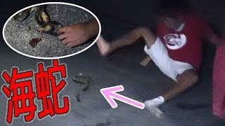 ハブの70倍の毒を持つ海蛇を捕まえろ！[宮古GT狙い 2/6]