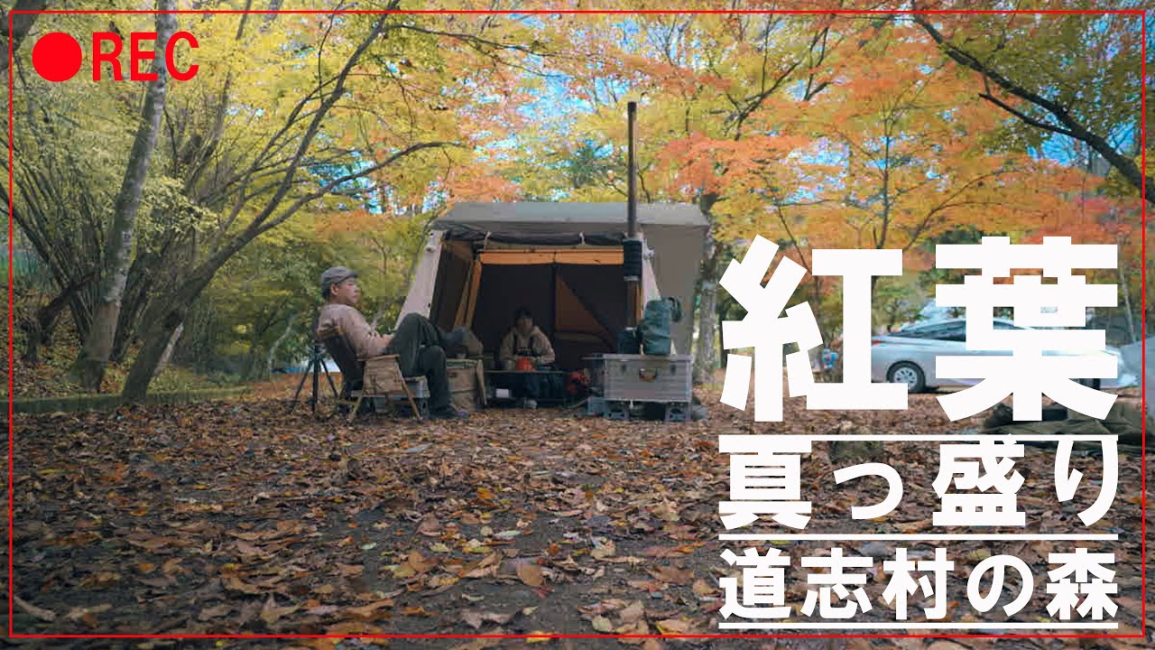 50代夫婦リアルキャンプ  「紅葉真っ盛り」　道志の森キャンプ場