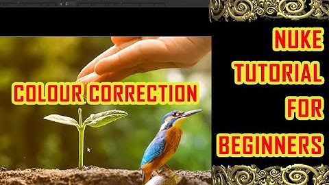 black point and white point in nuke | nuke color correction tutorial | nuke full tutorial in hindi