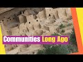 Communities and Their Evolution