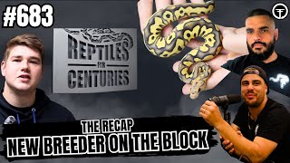 Truth About The Ball Python Market & Where Things Are REALLY Headed | The Recap NBB Live Profile