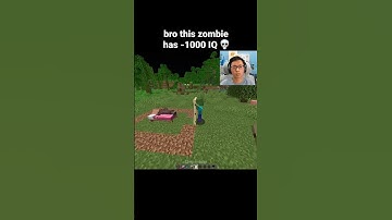 Minecraft Zombie Moment