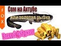 Сом на Ахтубе, ловите капитал! Русская Рыбалка 4