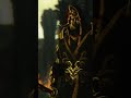 Chi sono i sacerdoti del drago? SKYRIM