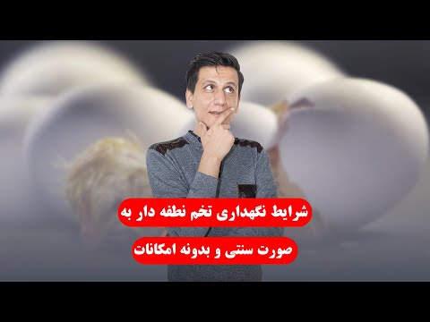 نگهداری تخم نطفه دار بیان شرایط و بهترین روش نگهداشتن تخم نطفه دار