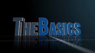 SimSuite Module 3 The Basics
