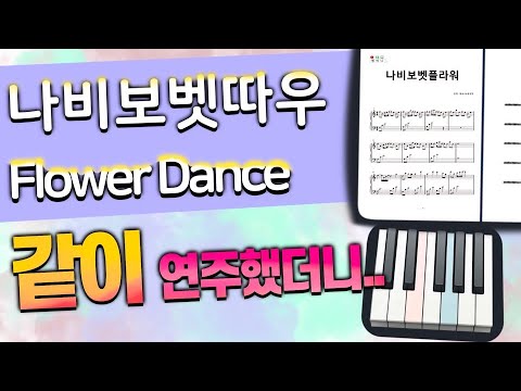 나비보벳따우 + 플라워댄스 - 동물의숲OST
