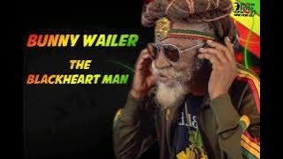 Bunny wailer ( of the wailers)Tribute Song
