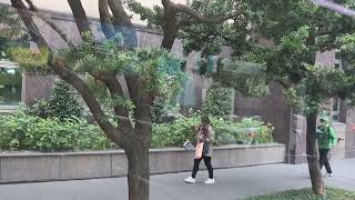 20240124 604 106-U5 @ 臺北車站(青島)~臺北車站(忠孝)