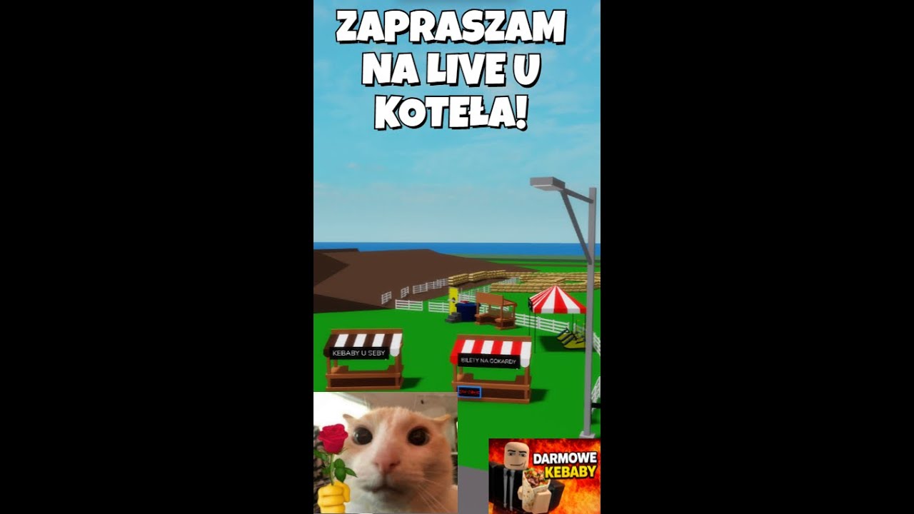 Liveik po szkole, WBIJAJ!