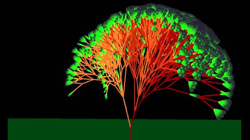 3D L-Systems dancing to "L