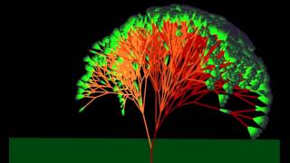 3D L-Systems dancing to L'apprenti sorcier by Juanmihd