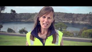 Foodbank and the OneFortyOne Capacity Development Grant