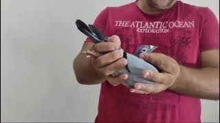 Download Lagu TR 21 008233 MP3