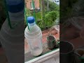 Frisches Wasser, dann müssen die Kumpels nicht über‘n Damm!