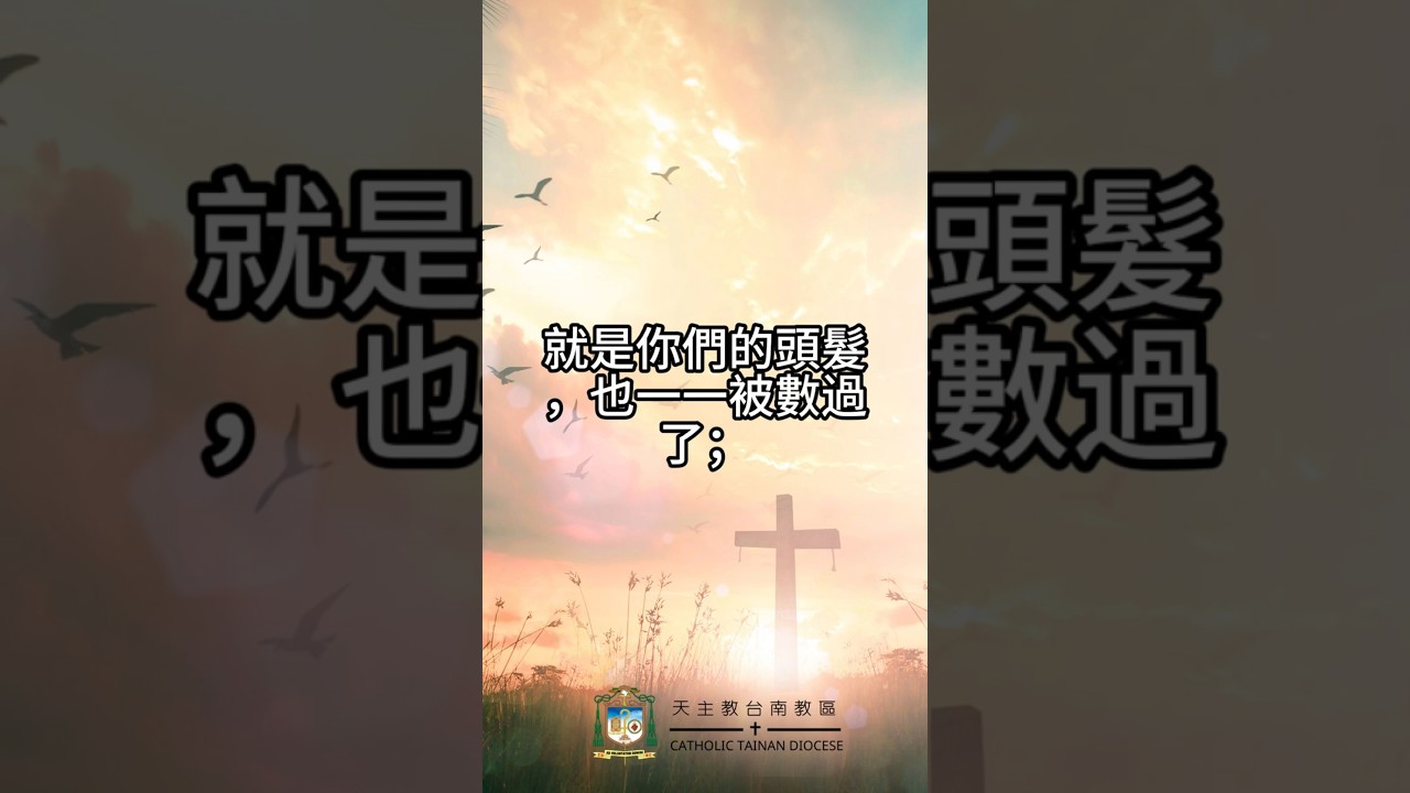 10/16  恭讀聖路加福音　12:1-7   在天主前，就是你們的頭髮，也一一被數過了。