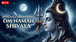 LIVE: Om Namah Shivaya Chant for Inner Peace, Meditation & Sleep | Shiva Mantra Healing Music screenshot 4
