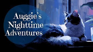 Auggies Nighttime Adventures A Cute Sleepy Story Bedtime Story For Grown Ups