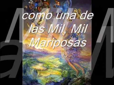 EL VALS DE LAS MARIPOSAS   DANNY DANIEL Música y Letra